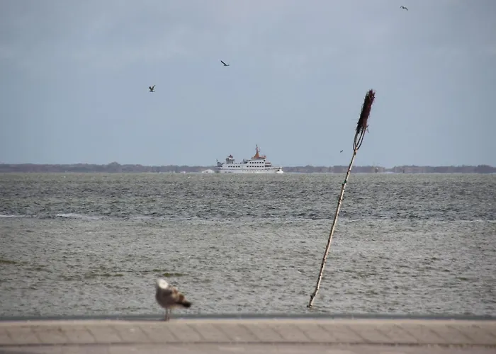 Hébergement de vacances Terrace